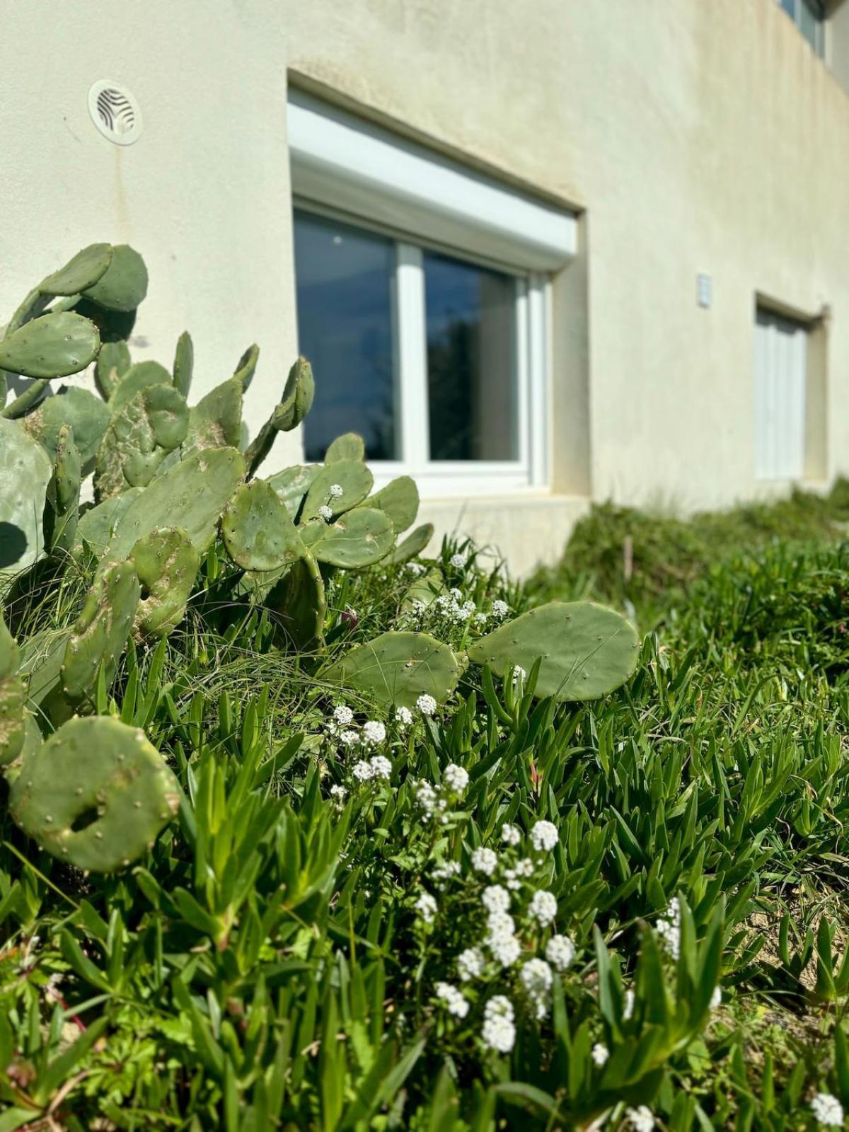 La Graviere, Cozy Studio Wifi & Parking 20M Ocean Surf Plage Soorts-Hossegor Exteriör bild